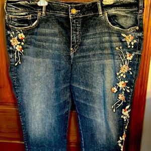 Silver Jeans, Elyse Skinny, Blue, size 22, L29, embroidered